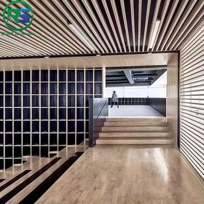 Interior Aluminum Strip Ceiling 0.6-2.0 Thickness Facade Wall Ceiling Cladding Decorative Marble Grain